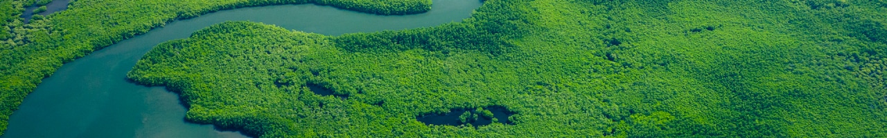 Blomberg arbejder for en bæredygtig udvikling
