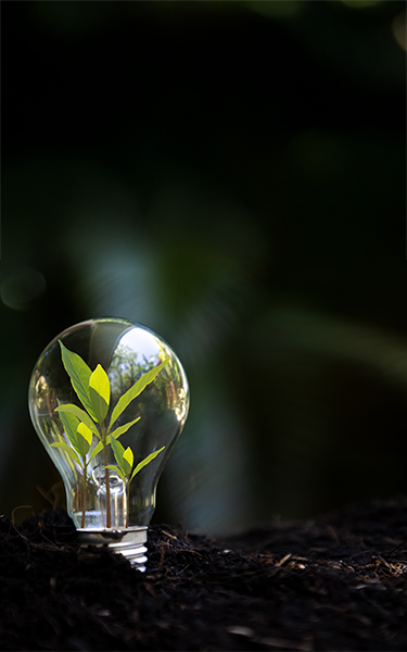 Bæredygtigt med moderne teknologi