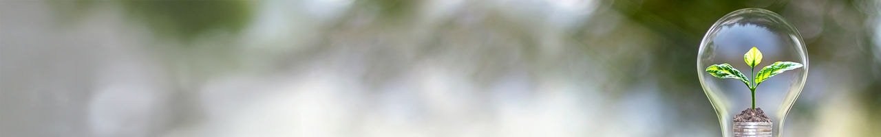 Blomberg_HeroBanner_Small_Desktop_1920x300_4