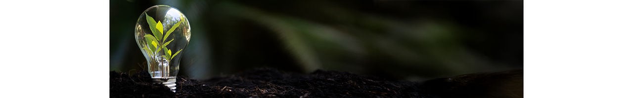 Blomberg_HeroBanner_Small_Desktop_1920x300_13