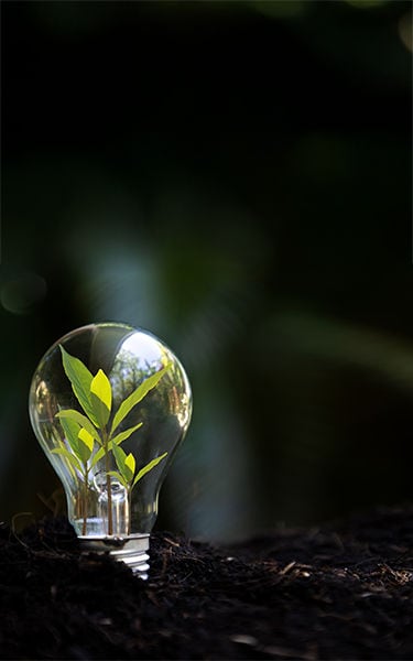 Blomberg_HeroBanner_Small_Mobile_375x600_1