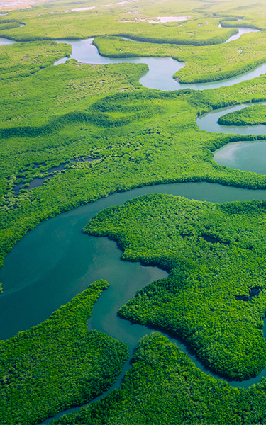 Blomberg arbetar för hållbar utveckling